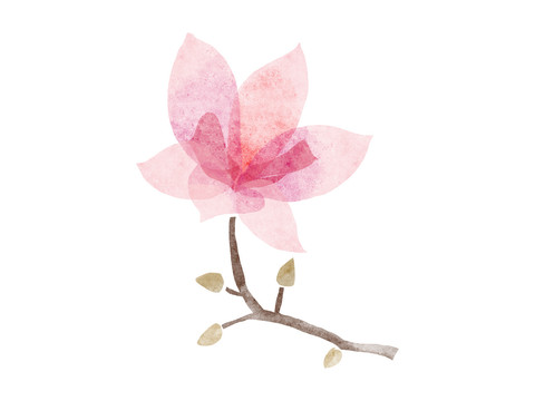 水彩花朵素材