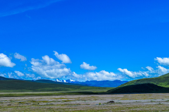 青藏高原西藏风光