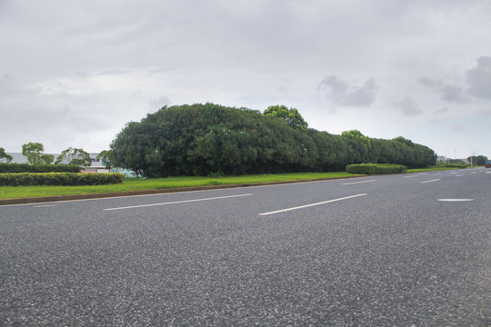 科技园区道路