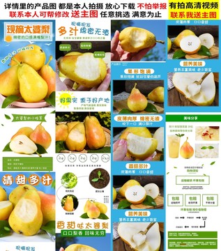 太婆梨詳情