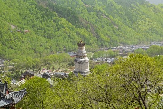 忻州五台山全景