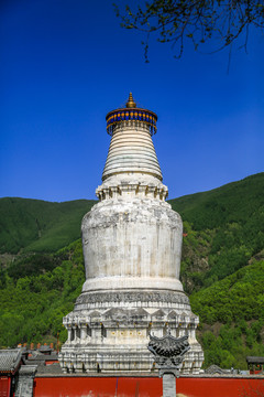 忻州五台山白塔