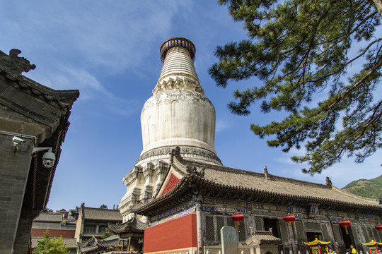 忻州五台山塔院寺白塔