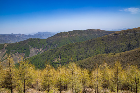 忻州五台山北台风光