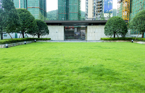 中式庭院草坪