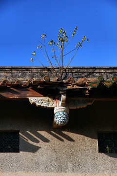 泉州开元寺