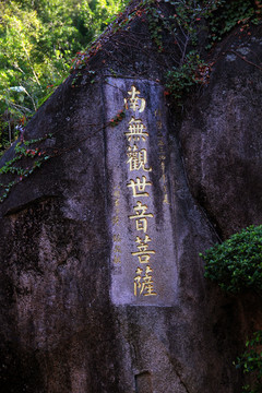 厦门南普陀寺