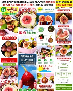 無花果詳情
