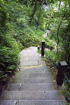 林間小路