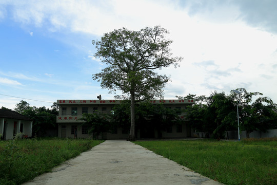 农村小学