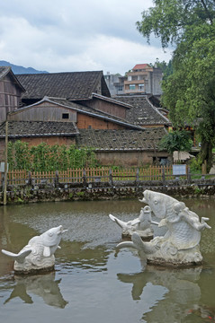 浦源村鲤鱼溪印象