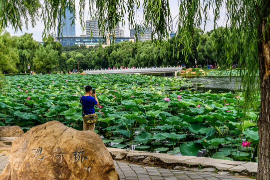 中国长春南湖公园景观