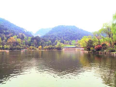 黔灵湖的水