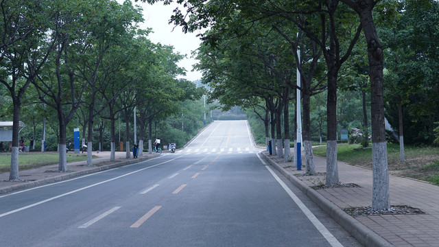 安静的道路