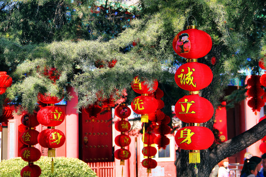 翰园春节祭祖大庙会