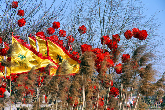 翰园春节祭祖大庙会