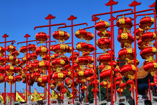 翰园春节祭祖大庙会