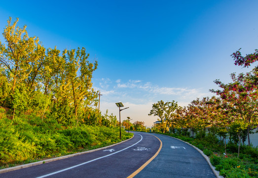 健康步道