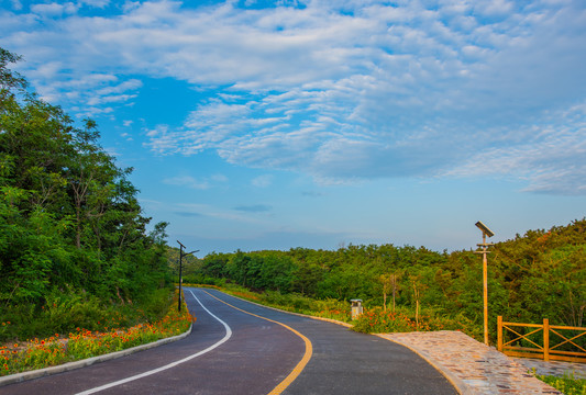 林间慢道