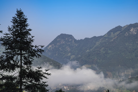 美丽雾景