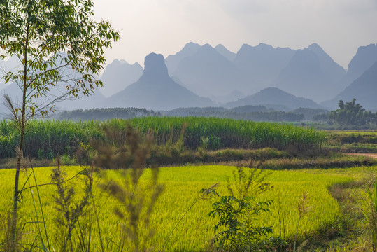 农田风景