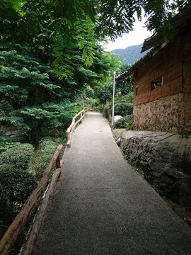 山间小路