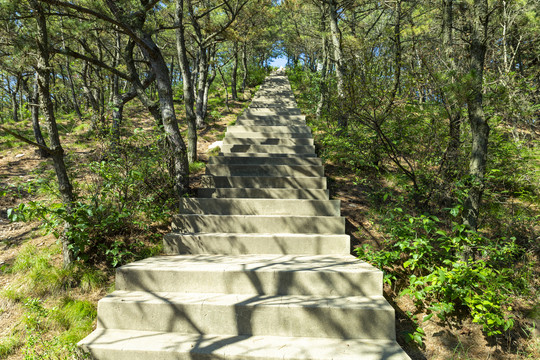 上山石台阶