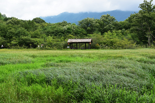 大九湖