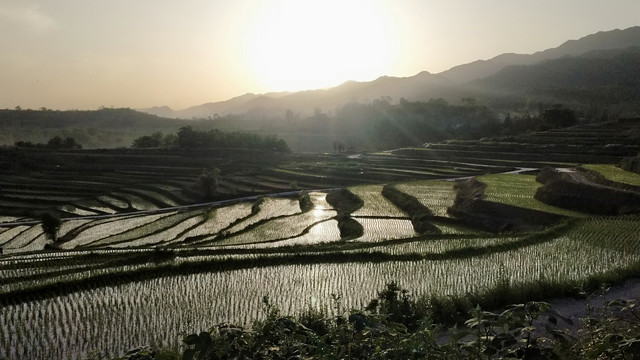 陕南梯田