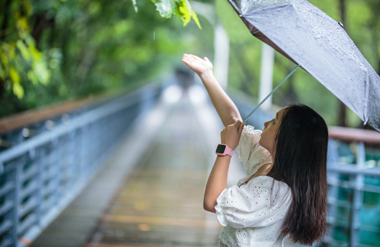 雨中撑伞的少女