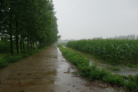 雨后