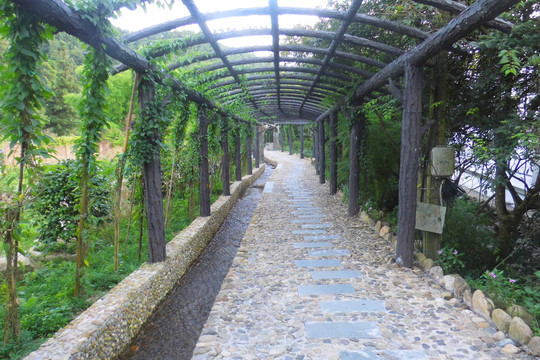 梁野山风景区栈道