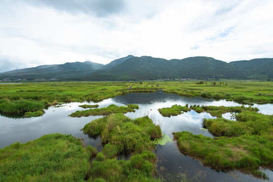 北海湿地公园