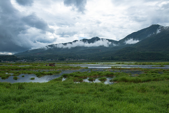 北海湿地公园