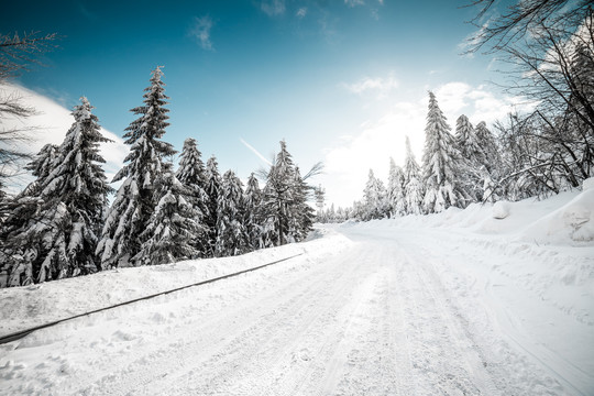 雪路道路