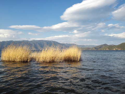 丽江泸沽湖