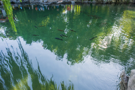 濟南趵突泉公園