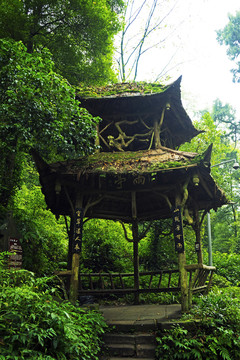 青城山避雨亭