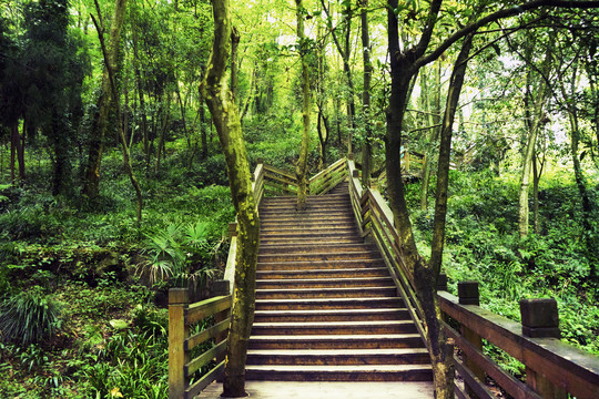 登山步道