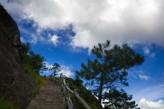 游步道