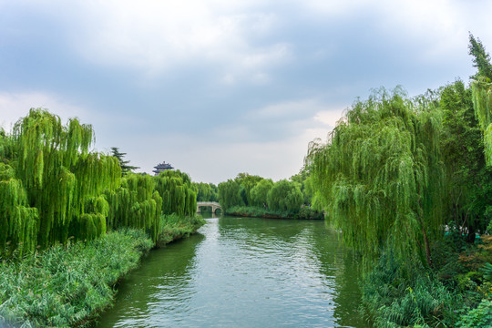 园林景区