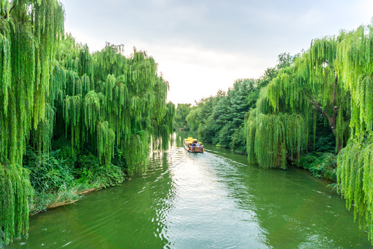 大明湖公园风光