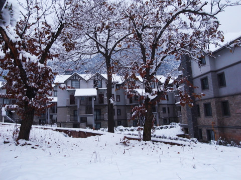 雪景房区