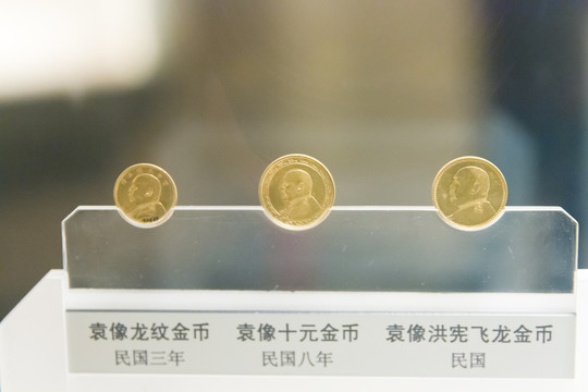 上海博物馆民国袁像龙纹金币