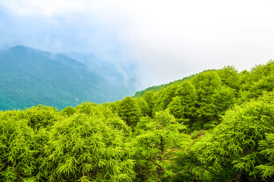 太白山