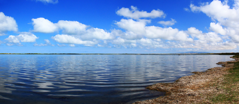 青海湖