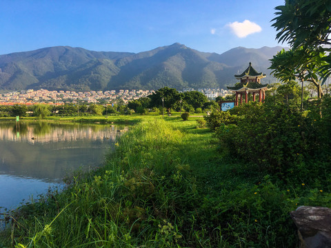 清晨的湿地公园