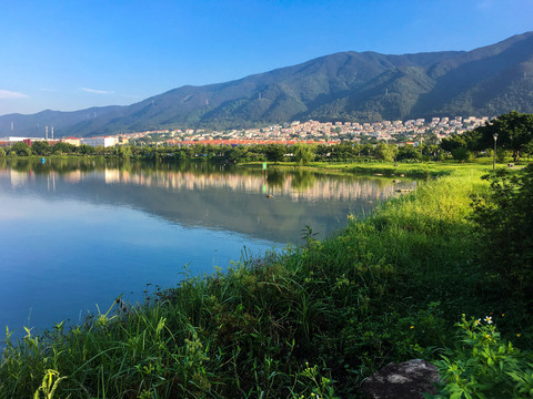 清晨的湿地公园