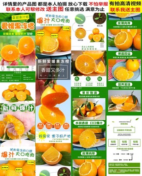 愛媛詳情