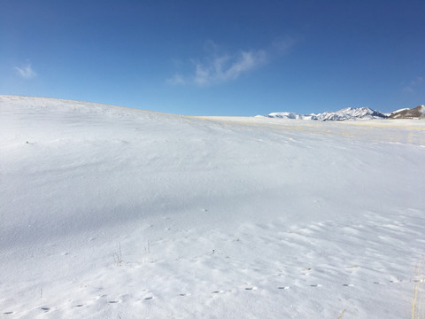 白雪皑皑